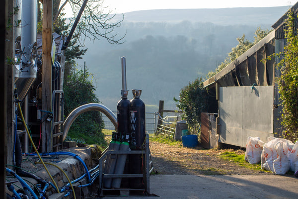 Signs of Spring, Sips of Sustainability