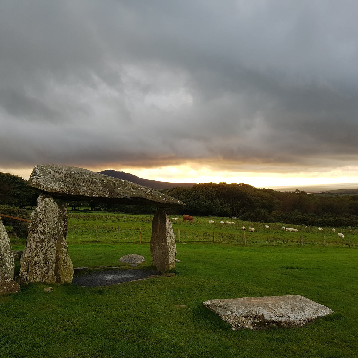 Bluestone Archaeology Walk