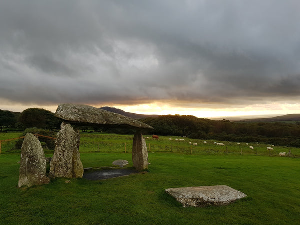 Bluestone Archaeology Walk