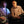 Dan Walsh and Alistair Anderson