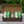 Gift Packs
